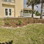 Beach Club Butterfly Garden