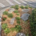 Entrance Flowers